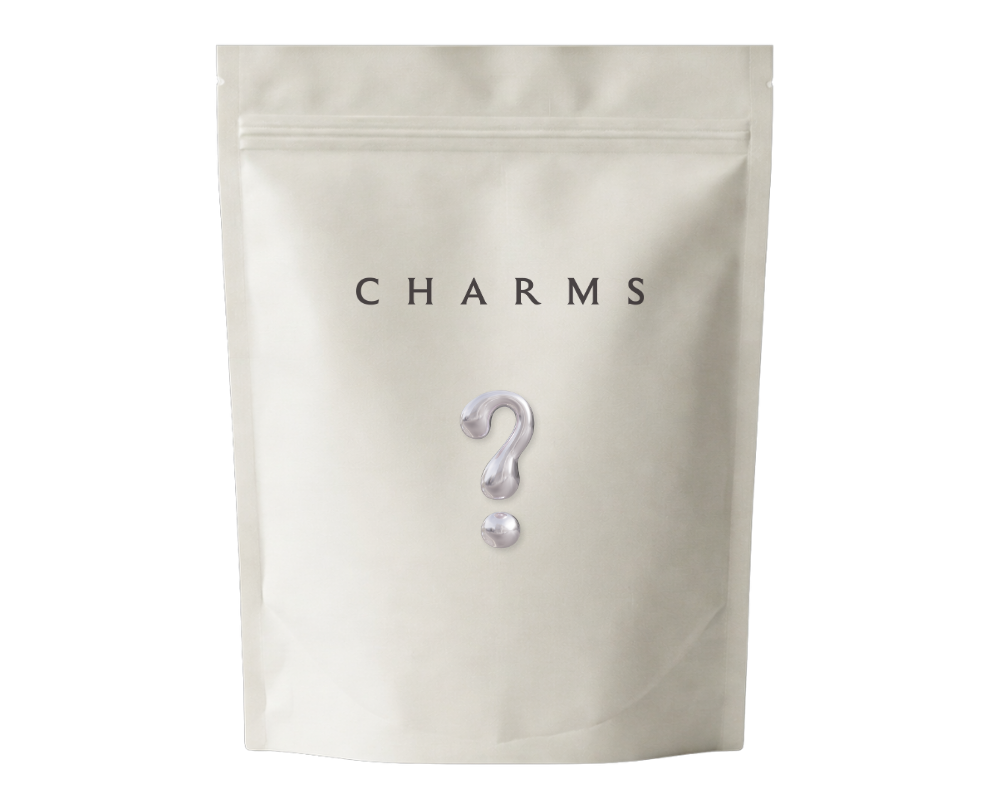 Überraschungsbox (20 charms)