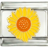 Goldene Sonnenblume
