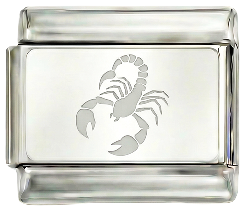 Skorpion, auf Silber