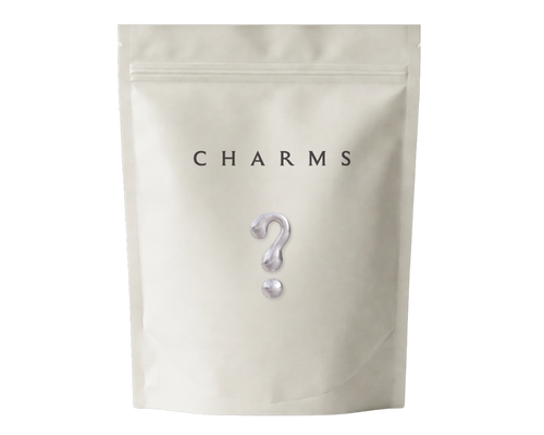 Überraschungsbox (10 charms)