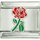 Ganze rote Rose mit grünem Stiel